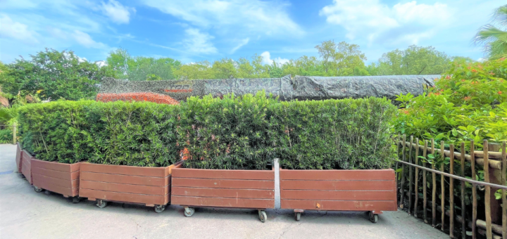 Wilderness Explorers Tree of Life Station Closed