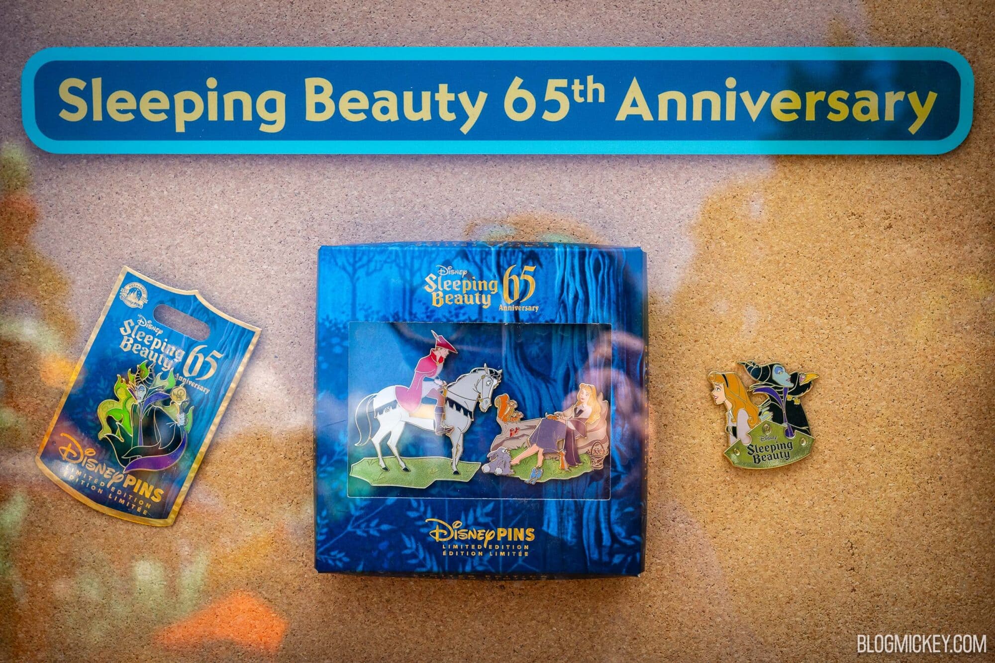 Sleeping Beauty Anniversary Pins