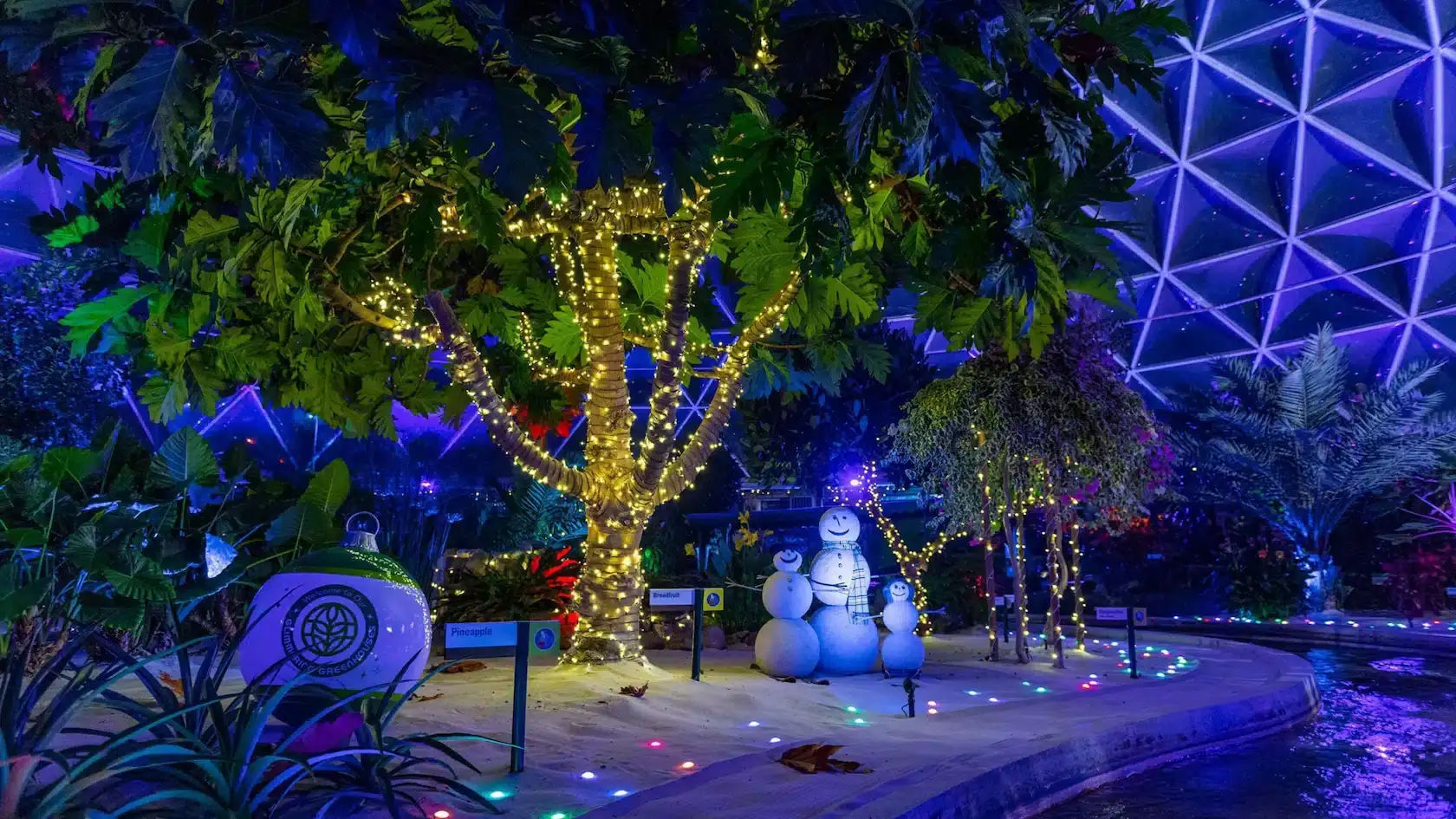 Illuminated trees and snowman scene inside the Living with the Land ride at EPCOT, featuring festive lights and holiday decor.