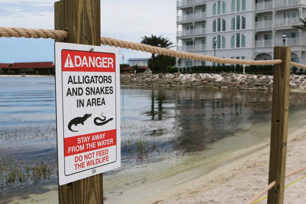 Alligator and snake warning sign near water at a Walt Disney World resort