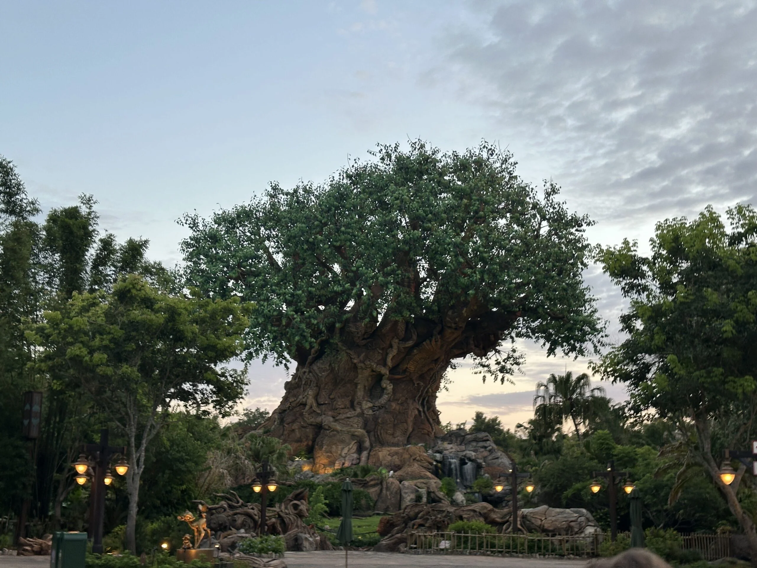 Tree of Life at Disney's Animal Kingdom during summer