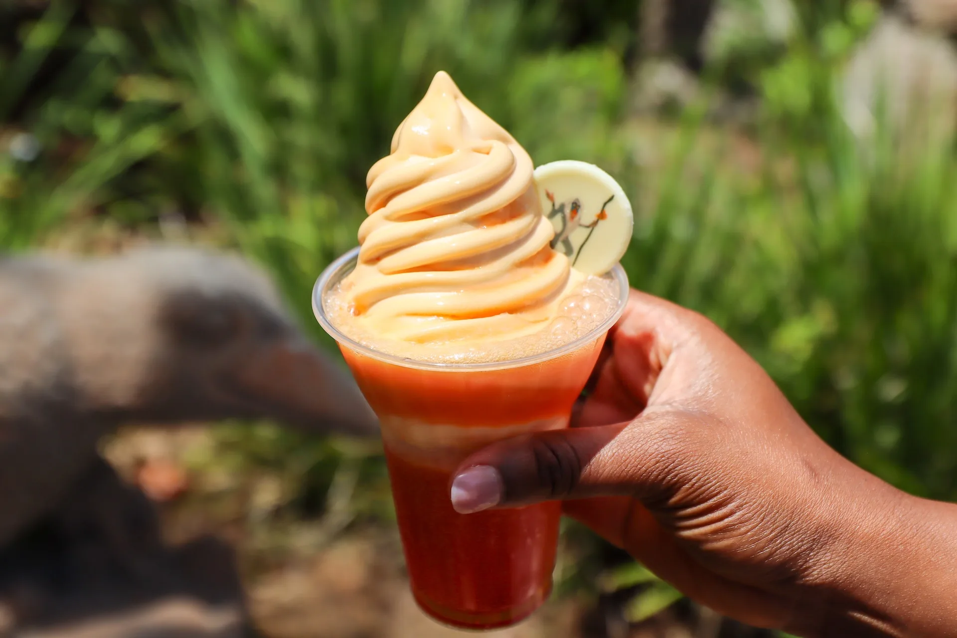 Dole Whip treat at Disney's Animal Kingdom